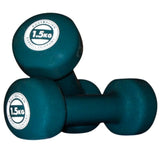 Vinyl Dumbbells