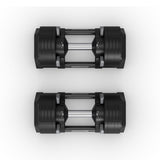 Horizon Adjustable Dumbbell