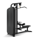 Vision Lat Pulldown / Seated Row